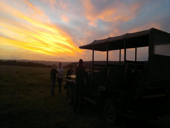 Sibuya Forest Camp - Sunset 
